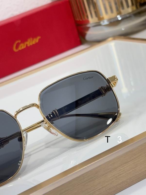 Cartier CT0485S 48 21-145 c07