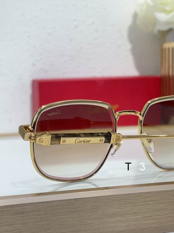 Cartier CT0485S 48 21-145 c08