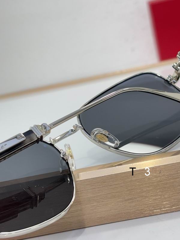 Cartier CT0485S 48 21-145 c09