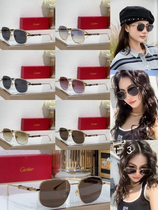 Cartier CT0485S 48 21-145 c10