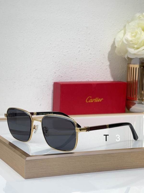 Cartier CT0491S 59 19 145 c01