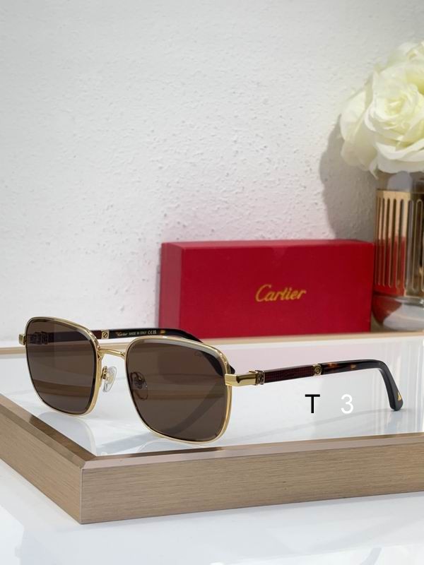 Cartier CT0491S 59 19 145 c02