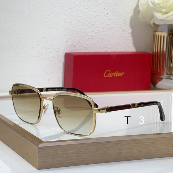 Cartier CT0491S 59 19 145 c03