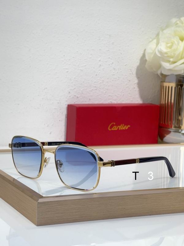 Cartier CT0491S 59 19 145 c04
