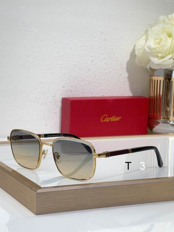 Cartier CT0491S 59 19 145 c05