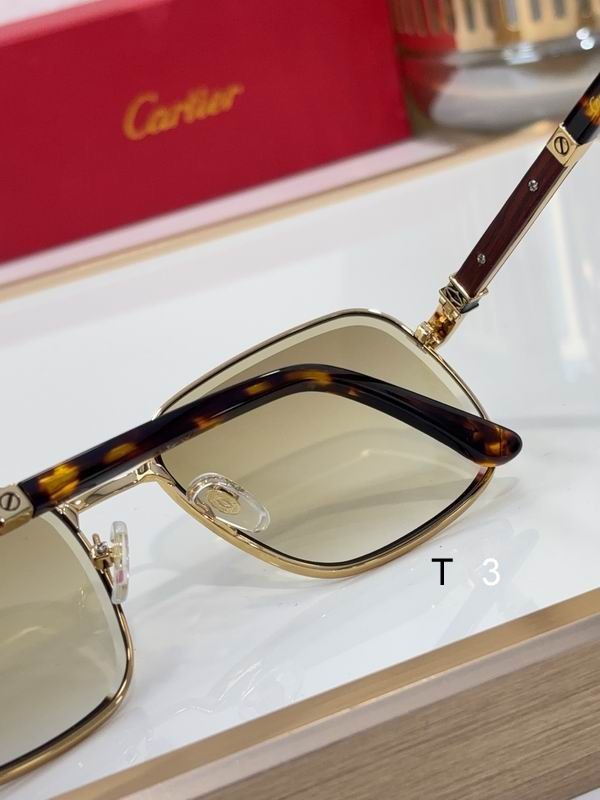 Cartier CT0491S 59 19 145 c07