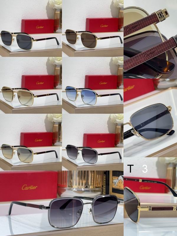 Cartier CT0491S 59 19 145 c10