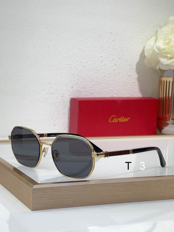 Cartier CT0492S 60 19-145 c01