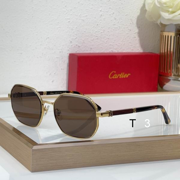 Cartier CT0492S 60 19-145 c02