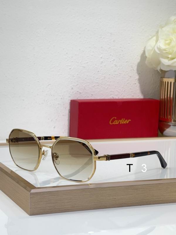 Cartier CT0492S 60 19-145 c03