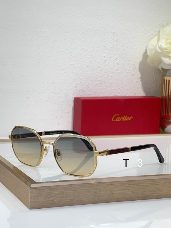 Cartier CT0492S 60 19-145 c04
