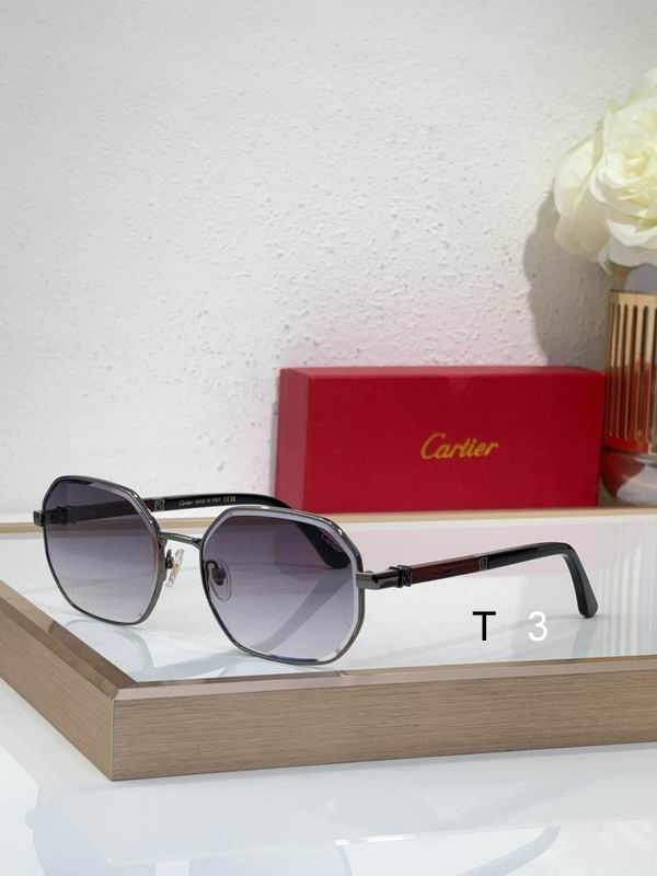 Cartier CT0492S 60 19-145 c05