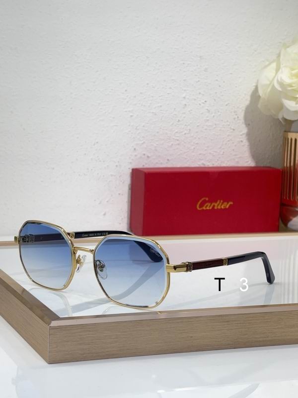 Cartier CT0492S 60 19-145 c06