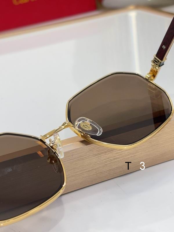 Cartier CT0492S 60 19-145 c09