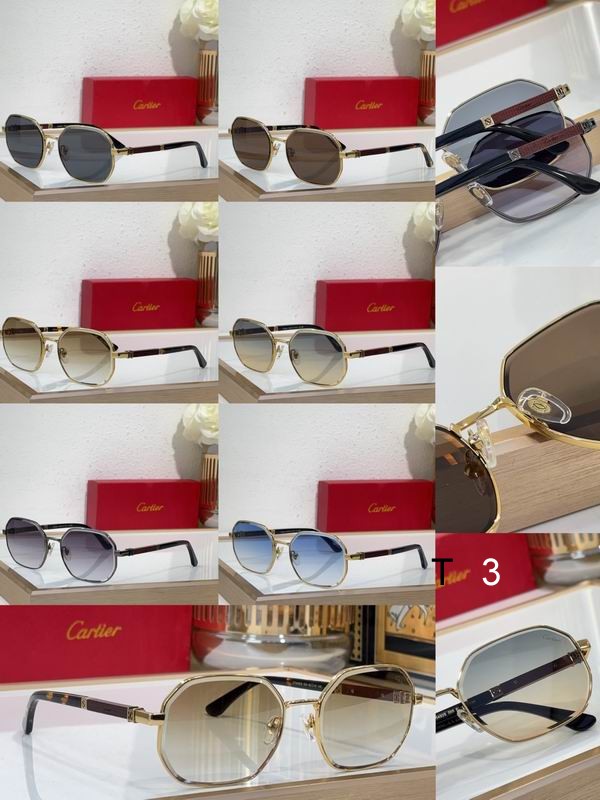 Cartier CT0492S 60 19-145 c10