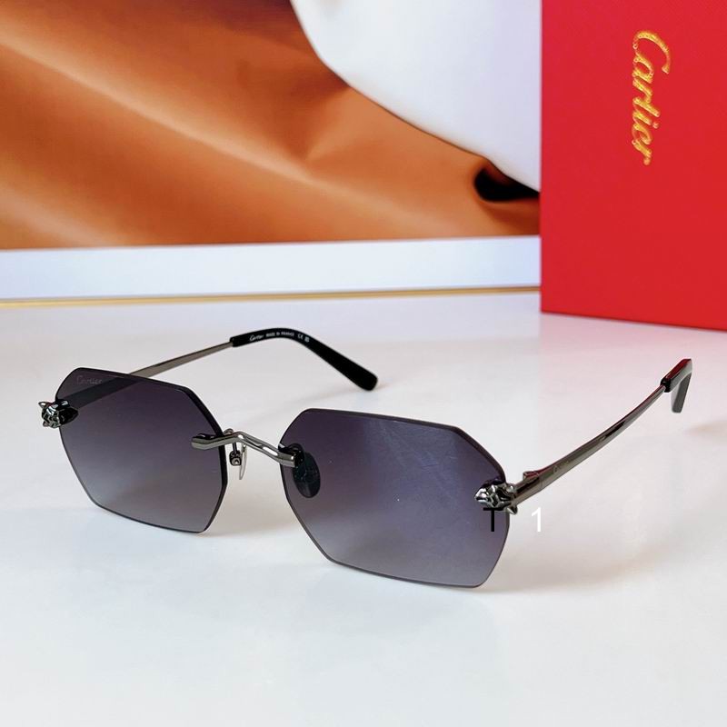 Cartier CT0504S 58 18-145 a02