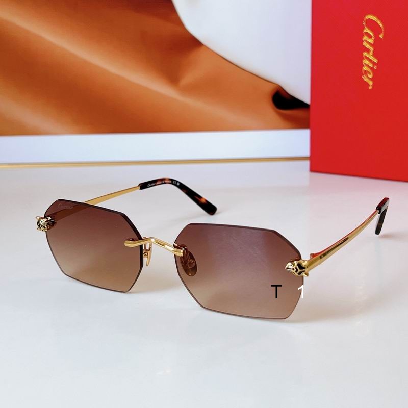 Cartier CT0504S 58 18-145 a03