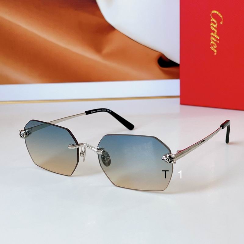 Cartier CT0504S 58 18-145 a04