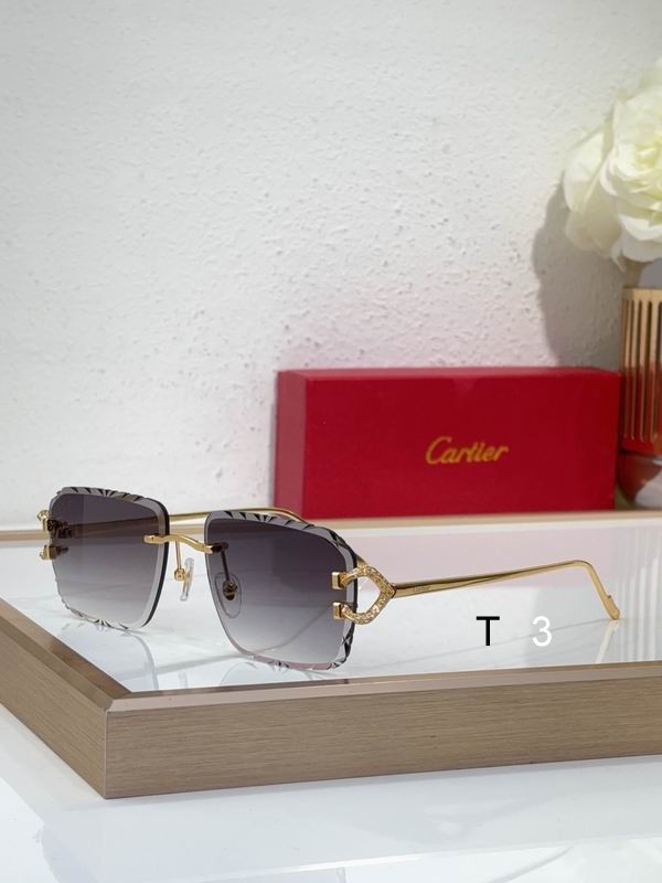 Cartier CT0576S 60 16-140 c01
