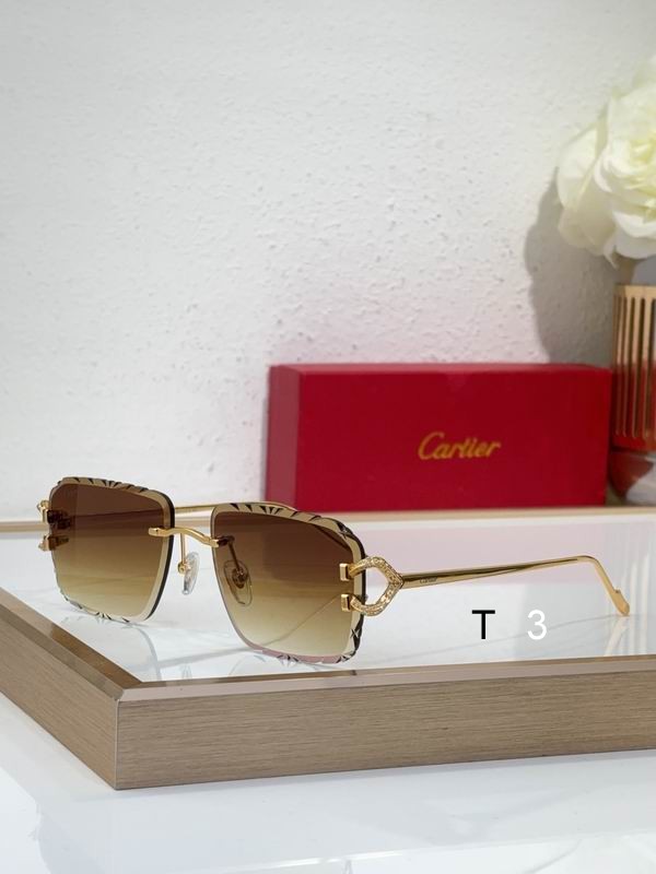 Cartier CT0576S 60 16-140 c02