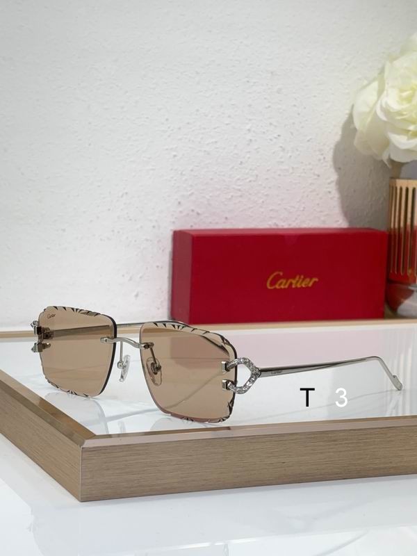 Cartier CT0576S 60 16-140 c04