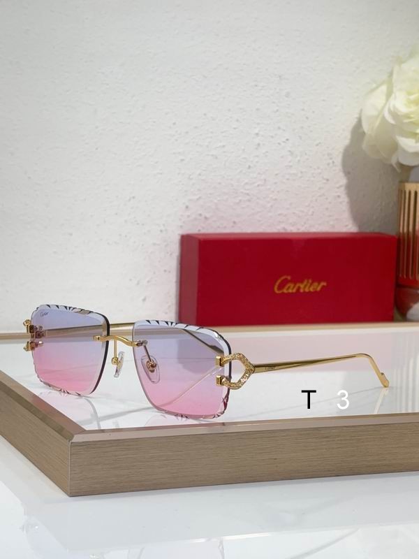 Cartier CT0576S 60 16-140 c05