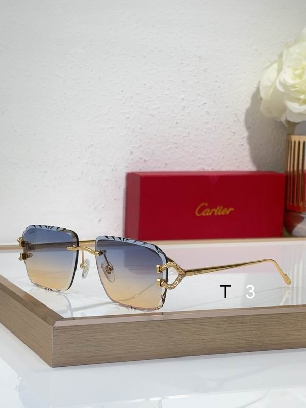 Cartier CT0576S 60 16-140 c06