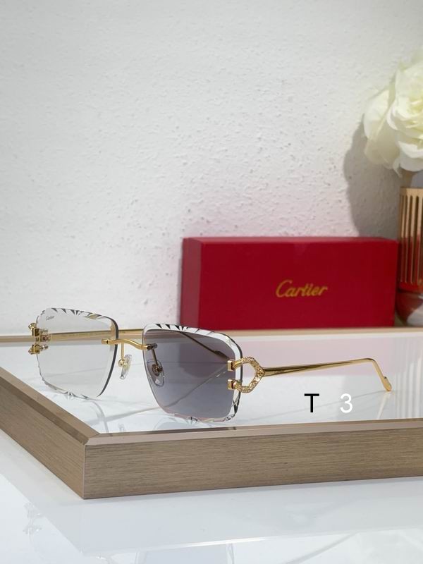 Cartier CT0576S 60 16-140 c07