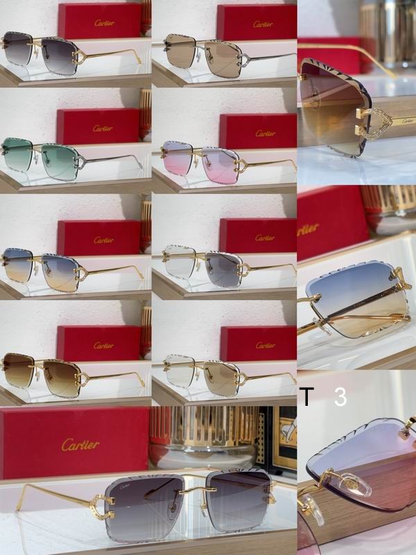 Cartier CT0576S 60 16-140 c10