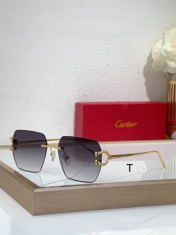 Cartier CT0577Ｓ 56 16-140 c01