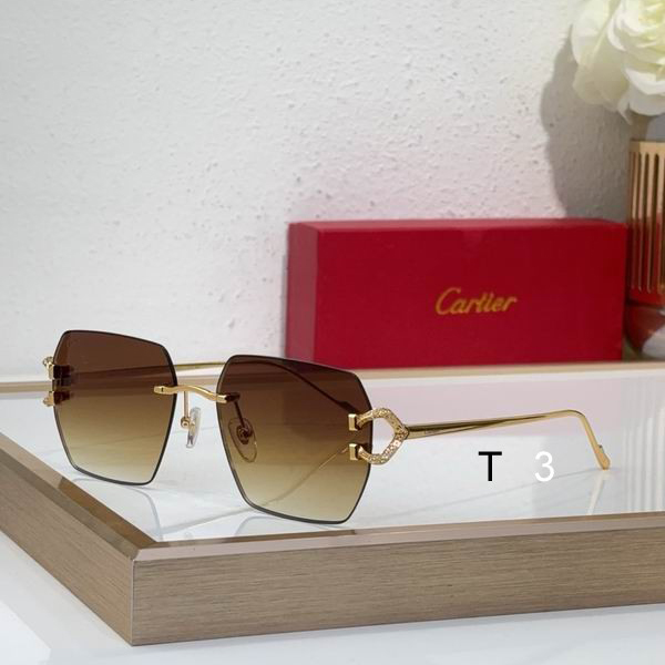 Cartier CT0577Ｓ 56 16-140 c02