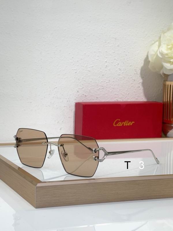 Cartier CT0577Ｓ 56 16-140 c03