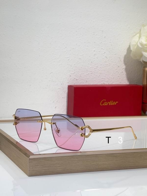 Cartier CT0577Ｓ 56 16-140 c04