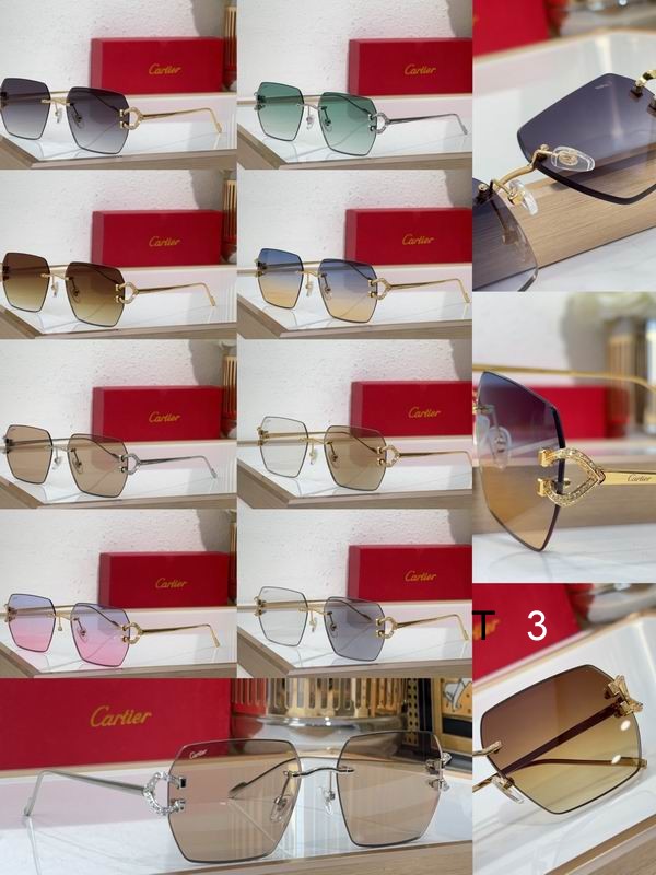 Cartier CT0577Ｓ 56 16-140 c10