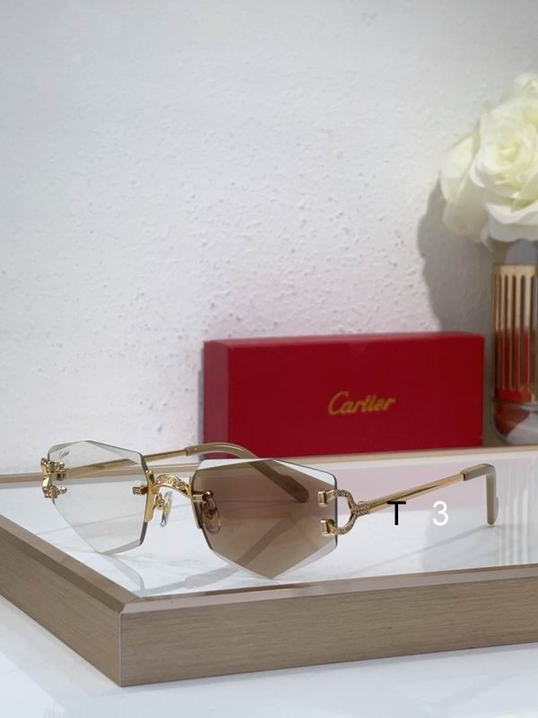 Cartier CT0582S 142 c02