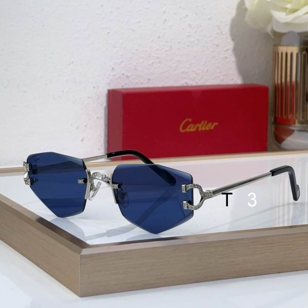Cartier CT0582S 142 c03