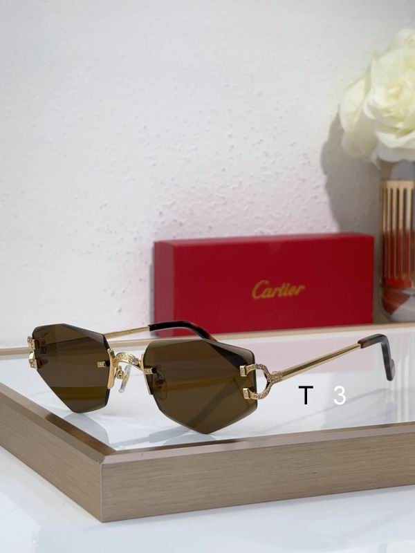 Cartier CT0582S 142 c04