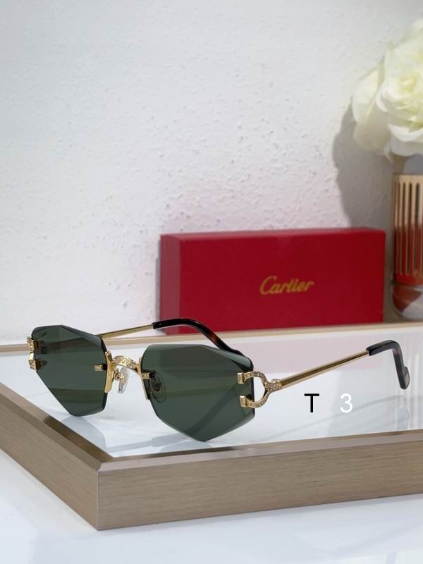 Cartier CT0582S 142 c05