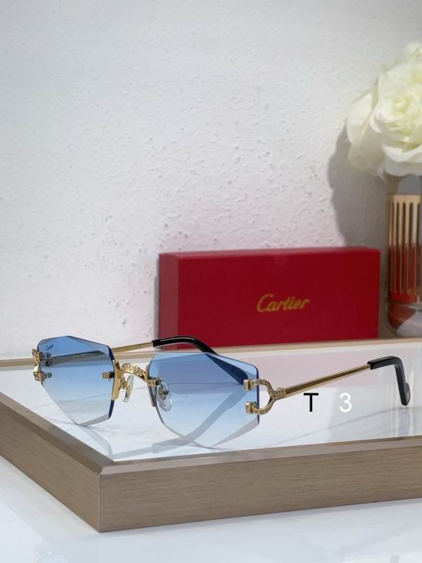 Cartier CT0582S 142 c06
