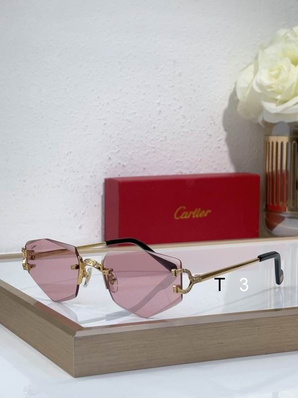 Cartier CT0582S 142 c07