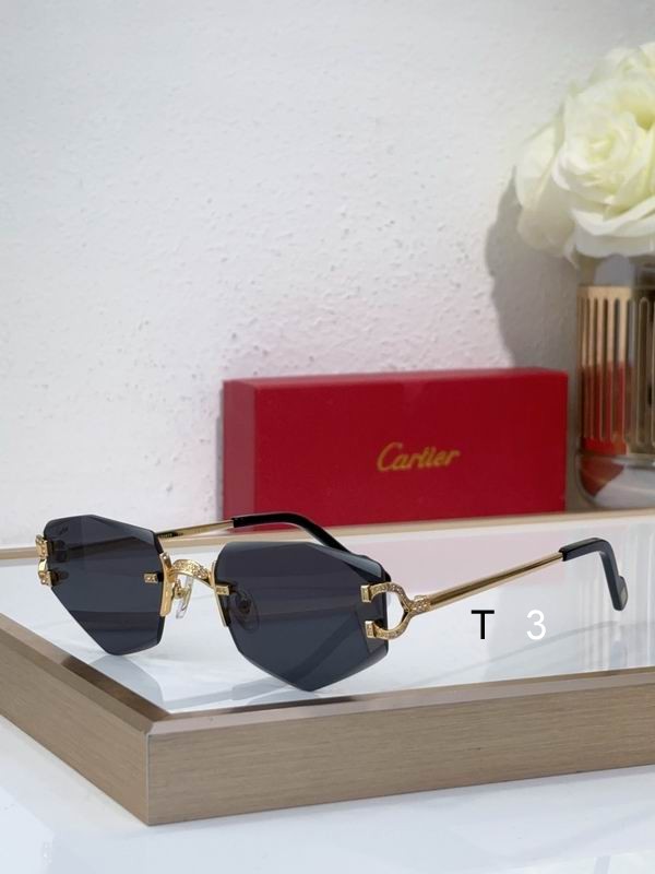 Cartier CT0582S 142 c08