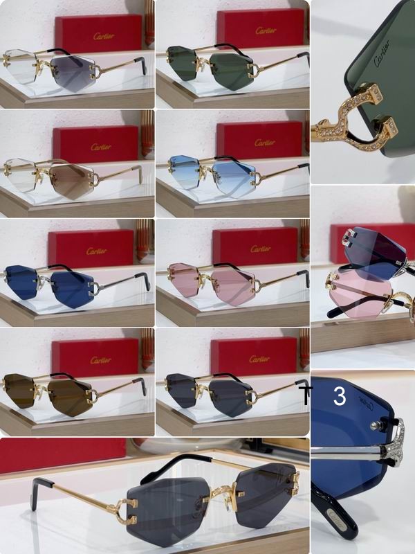 Cartier CT0582S 142 c10