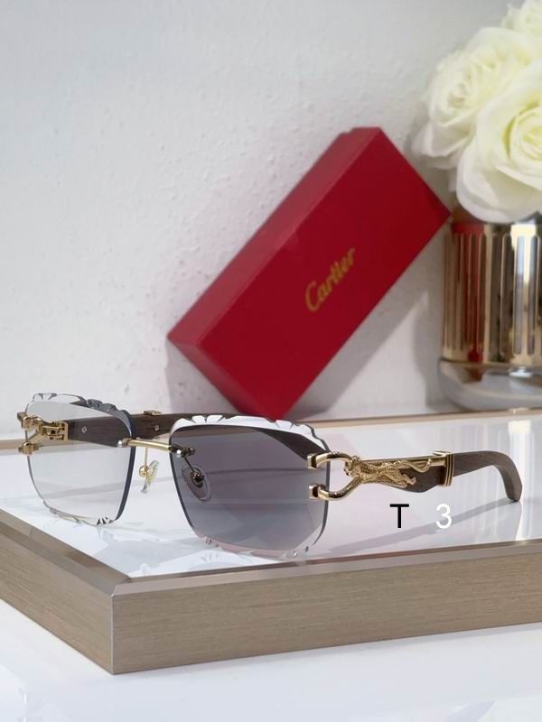 Cartier CT0593S 135 C01