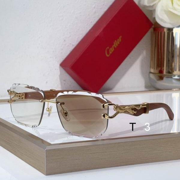 Cartier CT0593S 135 C02