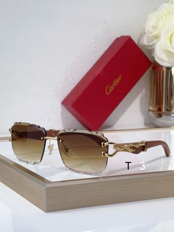 Cartier CT0593S 135 C03