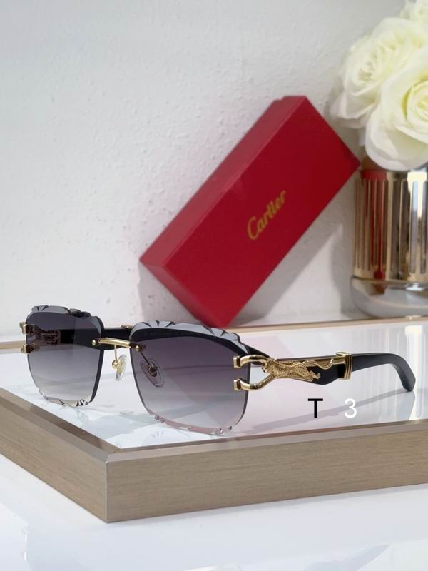 Cartier CT0593S 135 C04