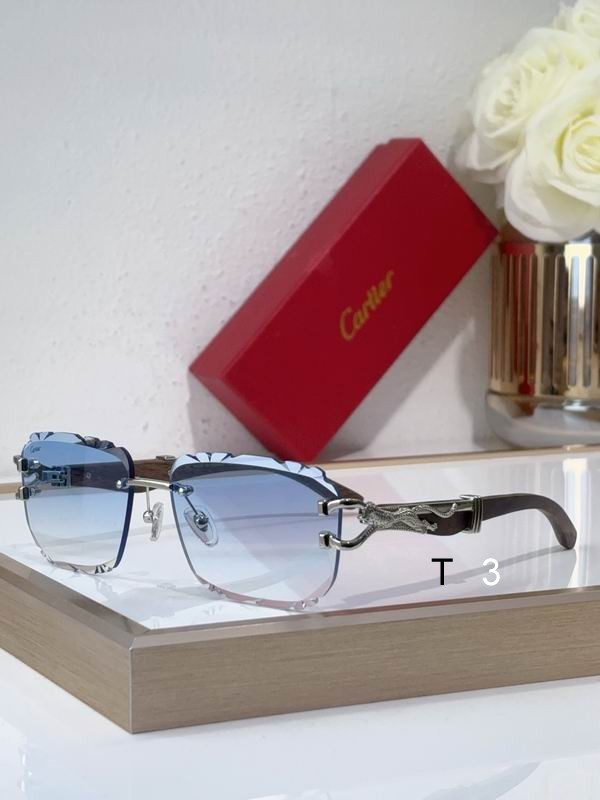 Cartier CT0593S 135 C05