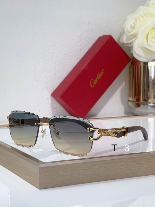 Cartier CT0593S 135 C06