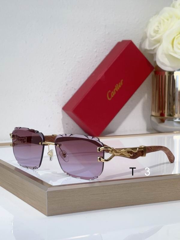 Cartier CT0593S 135 C07