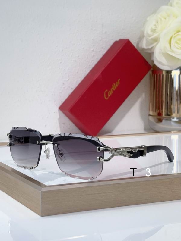 Cartier CT0593S 135 C08